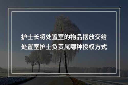 护士长将处置室的物品摆放交给处置室护士负责属哪种授权方式