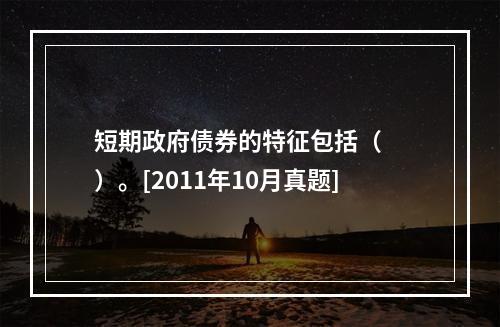 短期政府债券的特征包括（　　）。[2011年10月真题]