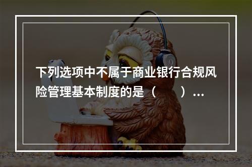 下列选项中不属于商业银行合规风险管理基本制度的是（　　）。