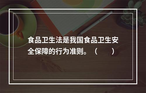 食品卫生法是我国食品卫生安全保障的行为准则。（　　）