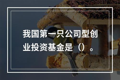 我国第一只公司型创业投资基金是（）。