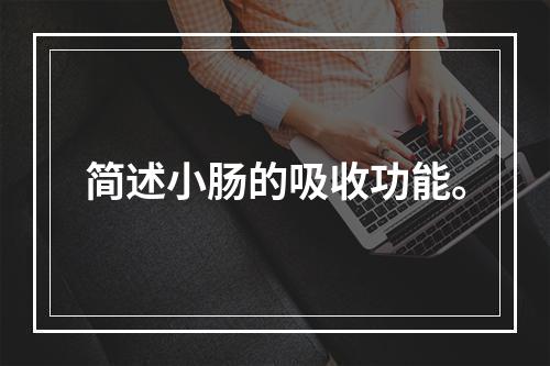 简述小肠的吸收功能。