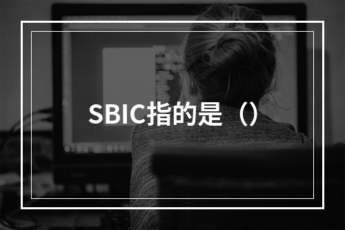 SBIC指的是（）