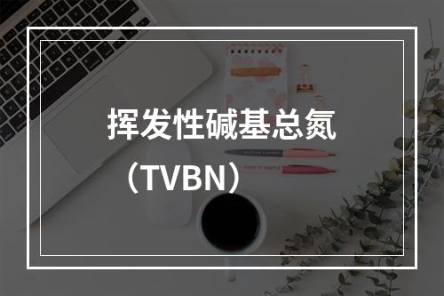 挥发性碱基总氮（TVBN）