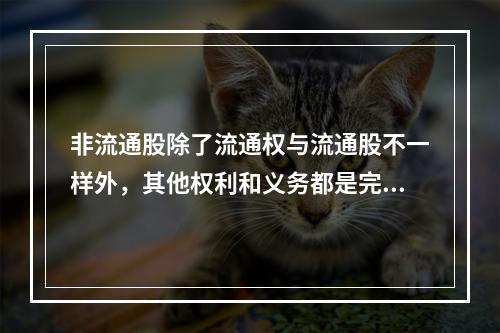 非流通股除了流通权与流通股不一样外，其他权利和义务都是完全一