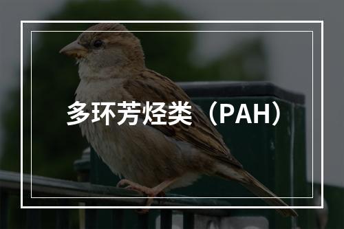 多环芳烃类（PAH）