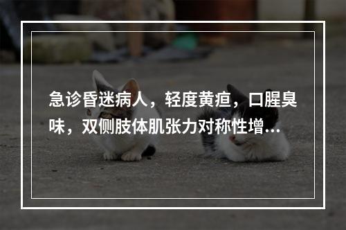 急诊昏迷病人，轻度黄疸，口腥臭味，双侧肢体肌张力对称性增高，