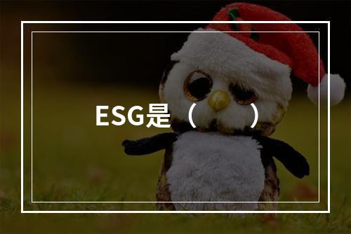 ESG是（　　）