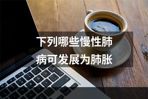 下列哪些慢性肺病可发展为肺胀