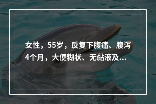 女性，55岁，反复下腹痛、腹泻4个月，大便糊状、无黏液及脓血