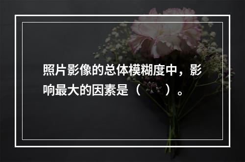 照片影像的总体模糊度中，影响最大的因素是（　　）。