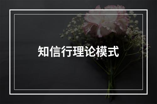 知信行理论模式