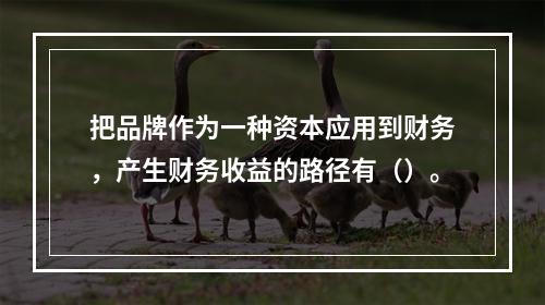 把品牌作为一种资本应用到财务，产生财务收益的路径有（）。