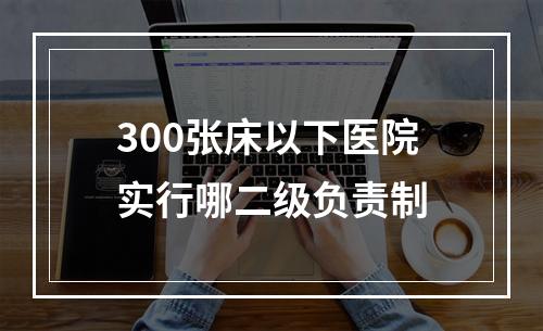 300张床以下医院实行哪二级负责制