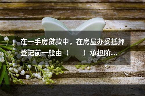 在一手房贷款中，在房屋办妥抵押登记前一般由（　　）承担阶段性