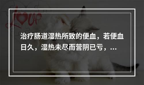 治疗肠道湿热所致的便血，若便血日久，湿热未尽而营阴已亏，应清