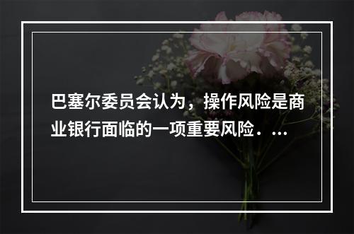 巴塞尔委员会认为，操作风险是商业银行面临的一项重要风险．商业