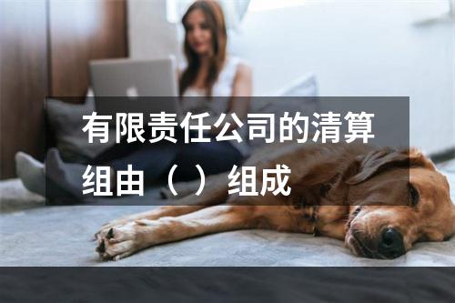 有限责任公司的清算组由（  ）组成