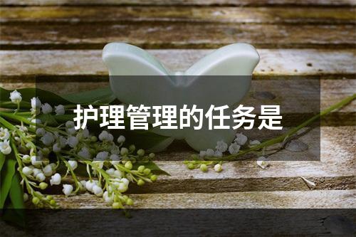 护理管理的任务是