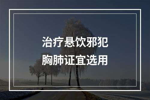 治疗悬饮邪犯胸肺证宜选用