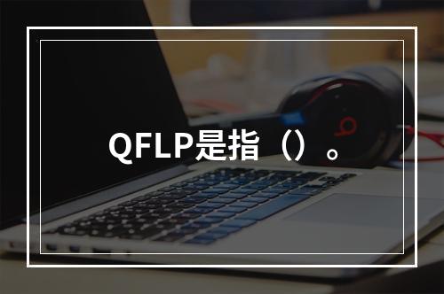 QFLP是指（）。