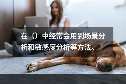 在（）中经常会用到场景分析和敏感度分析等方法。