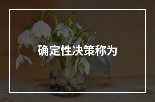 确定性决策称为