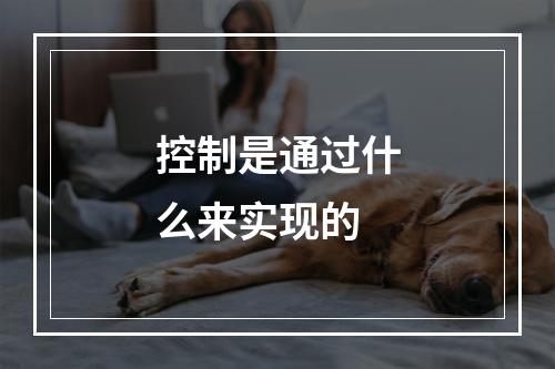 控制是通过什么来实现的