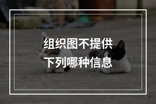 组织图不提供下列哪种信息