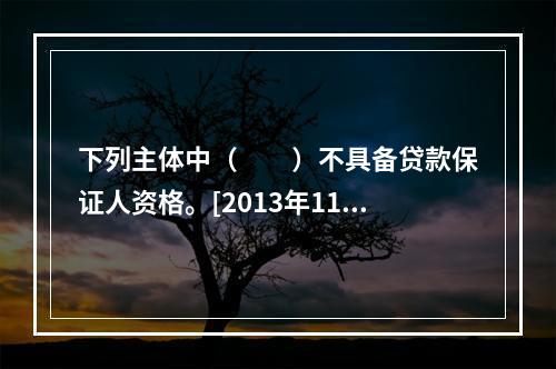 下列主体中（　　）不具备贷款保证人资格。[2013年11月真