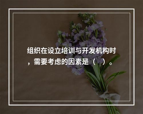 组织在设立培训与开发机构时，需要考虑的因素是（　）。