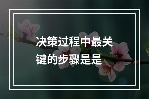 决策过程中最关键的步骤是是