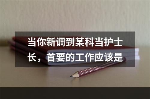 当你新调到某科当护士长，首要的工作应该是