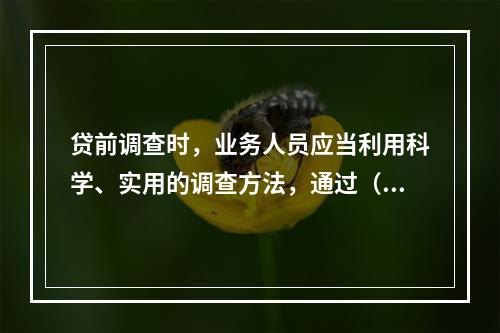 贷前调查时，业务人员应当利用科学、实用的调查方法，通过（　　