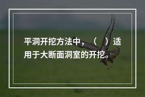 平洞开挖方法中，（　）适用于大断面洞室的开挖。