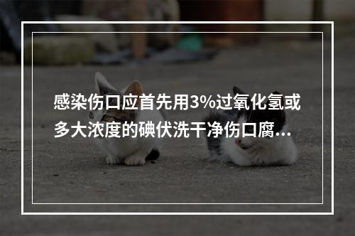 感染伤口应首先用3%过氧化氢或多大浓度的碘伏洗干净伤口腐败物