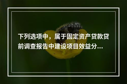 下列选项中，属于固定资产贷款贷前调查报告中建设项目效益分析内