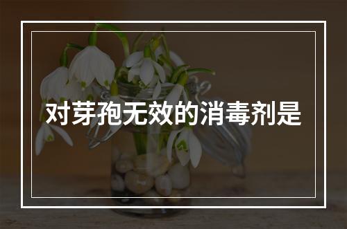 对芽孢无效的消毒剂是