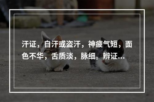 汗证，自汗或盗汗，神疲气短，面色不华，舌质淡，脉细。辨证应属