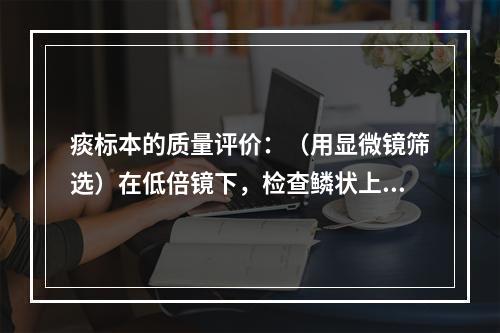 痰标本的质量评价：（用显微镜筛选）在低倍镜下，检查鳞状上皮细