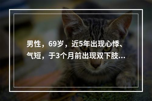 男性，69岁，近5年出现心悸、气短，于3个月前出现双下肢水肿