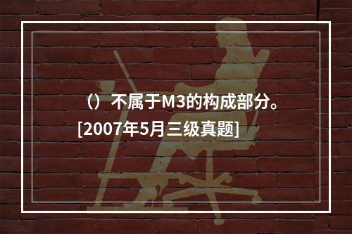 （）不属于M3的构成部分。[2007年5月三级真题]