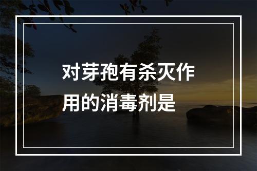 对芽孢有杀灭作用的消毒剂是