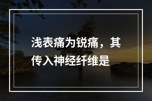 浅表痛为锐痛，其传入神经纤维是