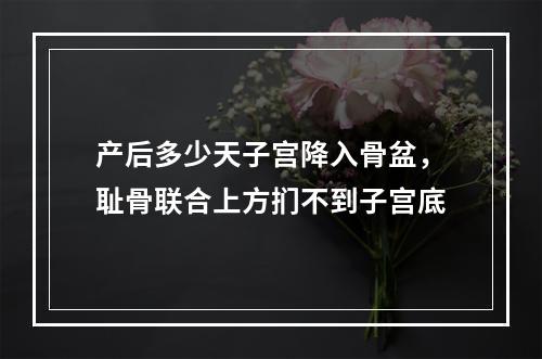 产后多少天子宫降入骨盆，耻骨联合上方扪不到子宫底