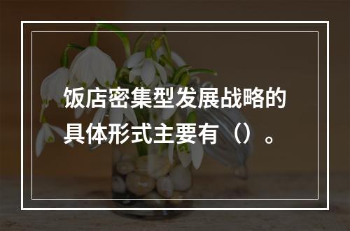 饭店密集型发展战略的具体形式主要有（）。