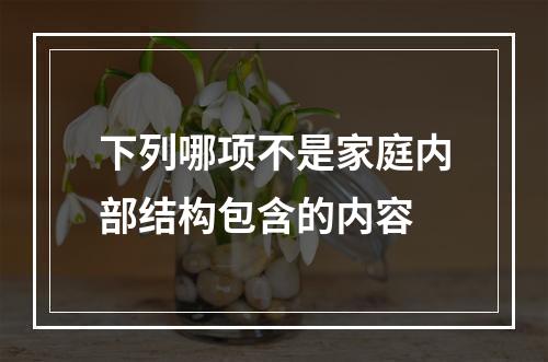 下列哪项不是家庭内部结构包含的内容