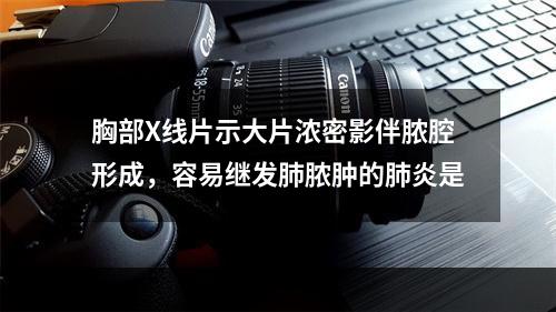 胸部X线片示大片浓密影伴脓腔形成，容易继发肺脓肿的肺炎是