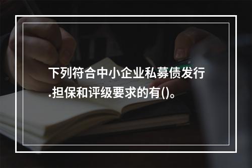 下列符合中小企业私募债发行.担保和评级要求的有()。