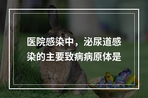 医院感染中，泌尿道感染的主要致病病原体是